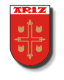 Escudo Ariz B